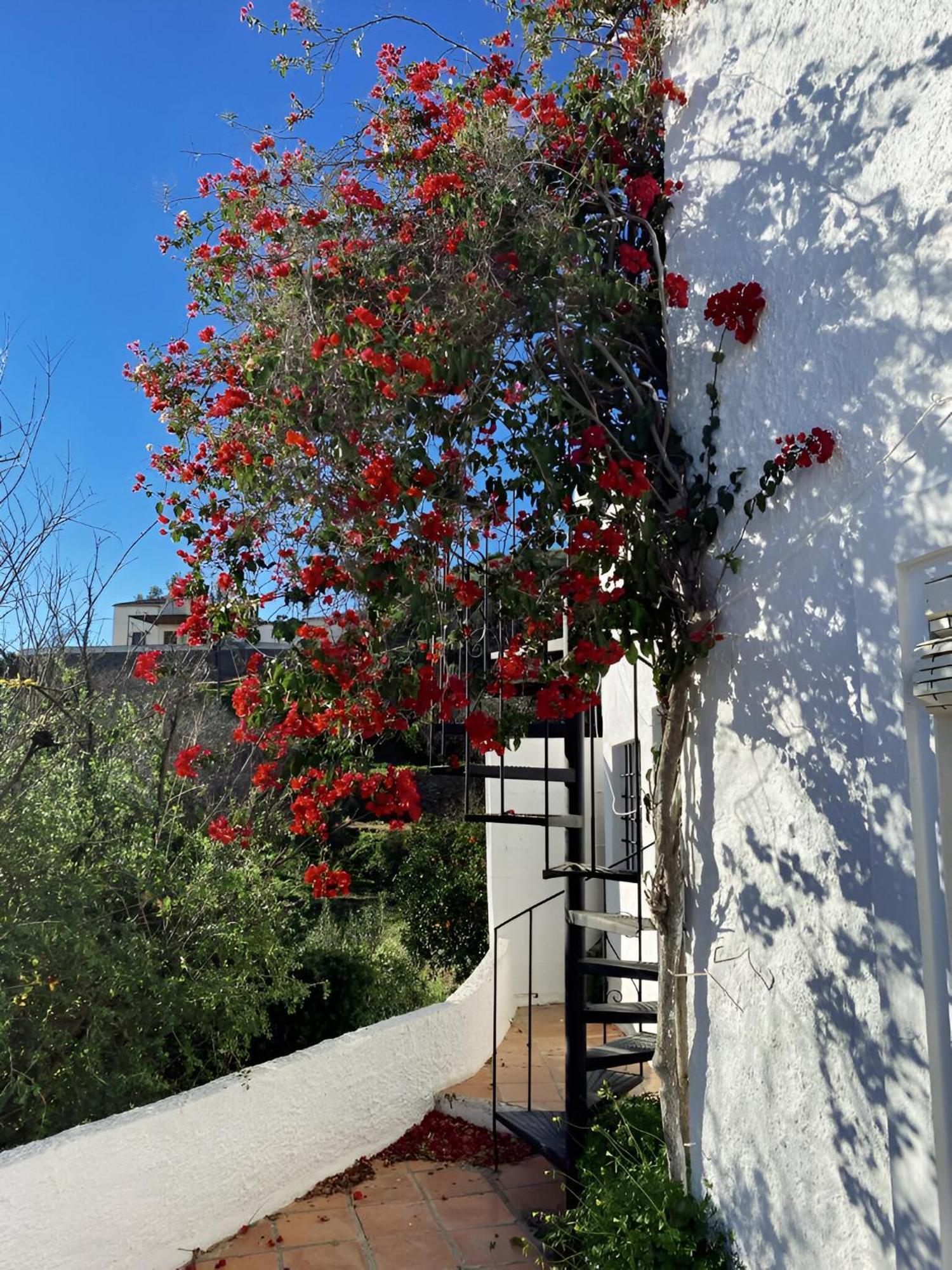 Cortijo De La Fuente Con Vistas Impresionantes Y Playas A 20 Minutos Bédar Exterior foto